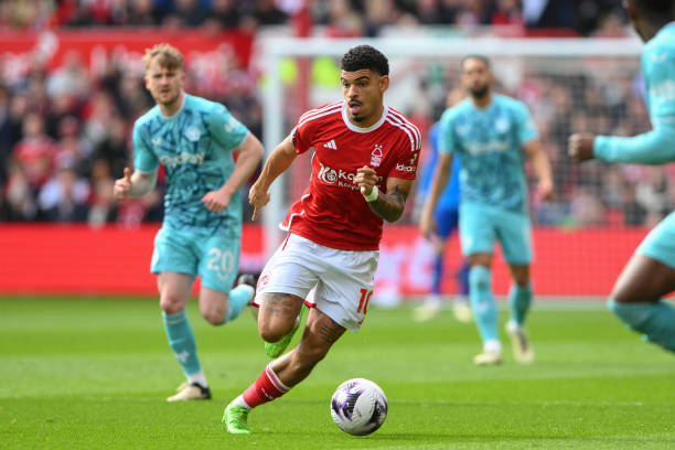 场高水平赛 场高水平赛