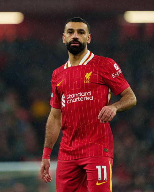 的不可或缺 的不可或缺